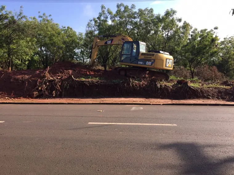 Escavadeira Caterpillar removendo tocos e raízes na faixa ao lado de uma rodovia
