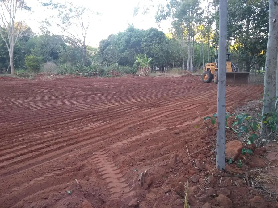 Terreno limpo e raspado, com marcas de máquina na terra e árvores ao fundo
