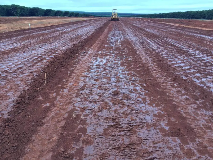 Terreno nivelado com marcas de rolo compactador se estendendo até a linha de árvores